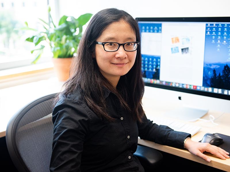Ann Chen