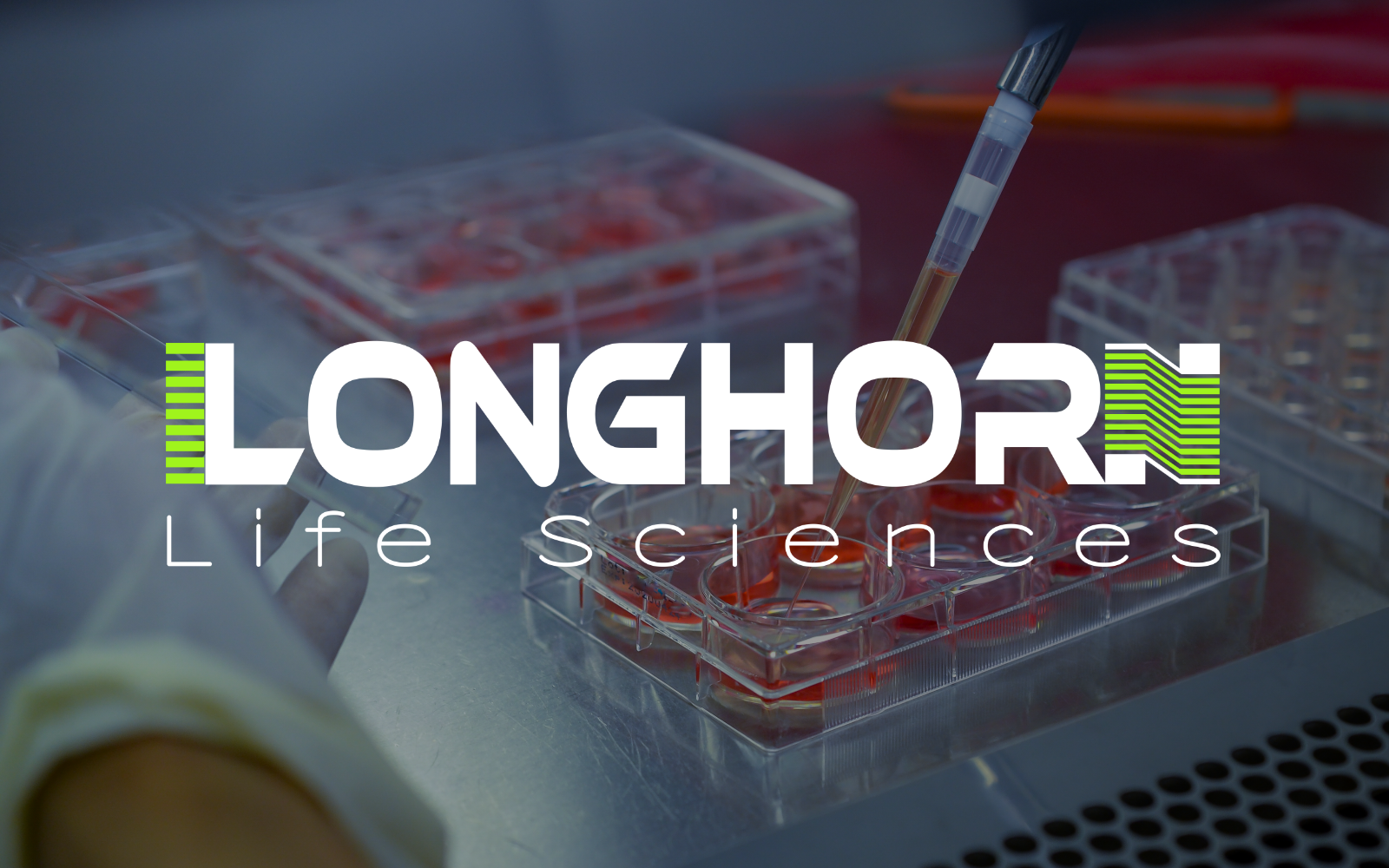 Longhorn Life Sciences logo